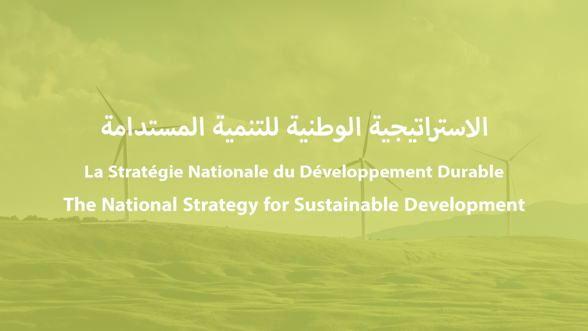 الاستراتيجية الوطنية للتنمية المستدامة
